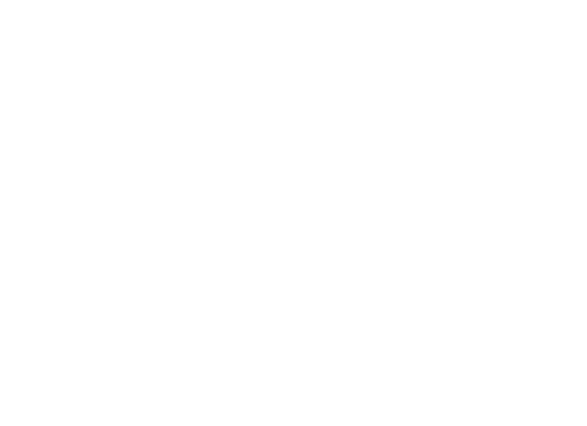 Nova Pro